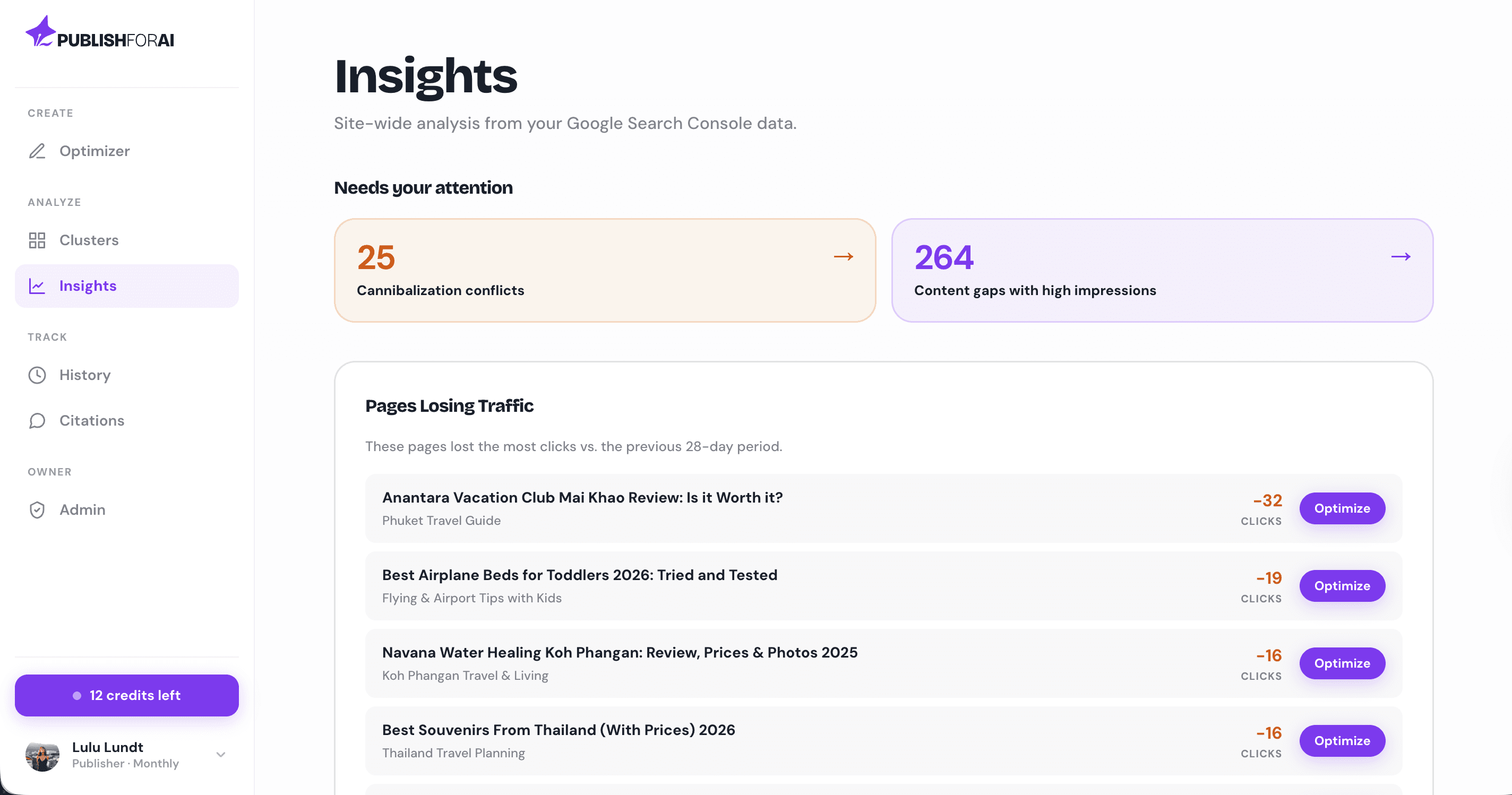 Insights page showing cannibalization conflicts, content gaps and pages losing traffic.